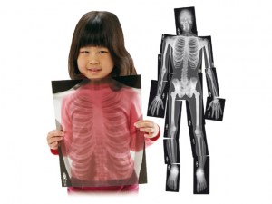 Rayos X de esqueleto humano